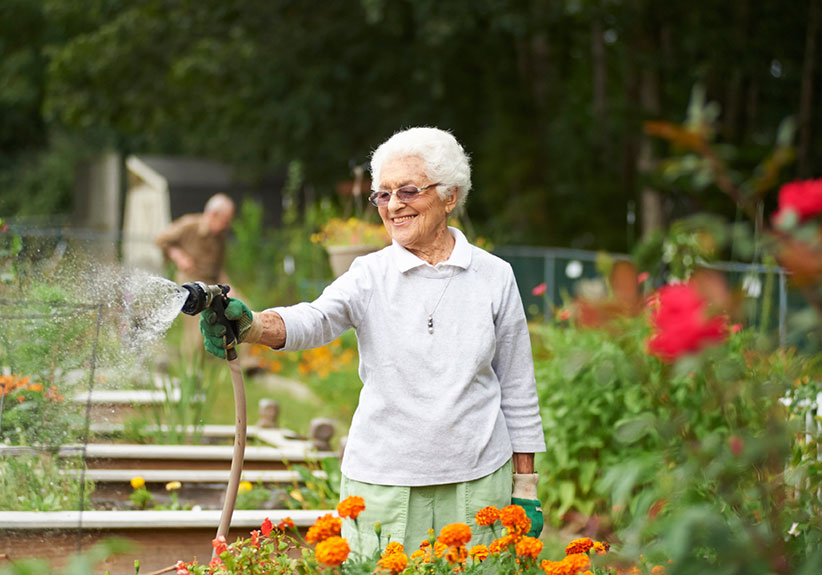 woman watering garden