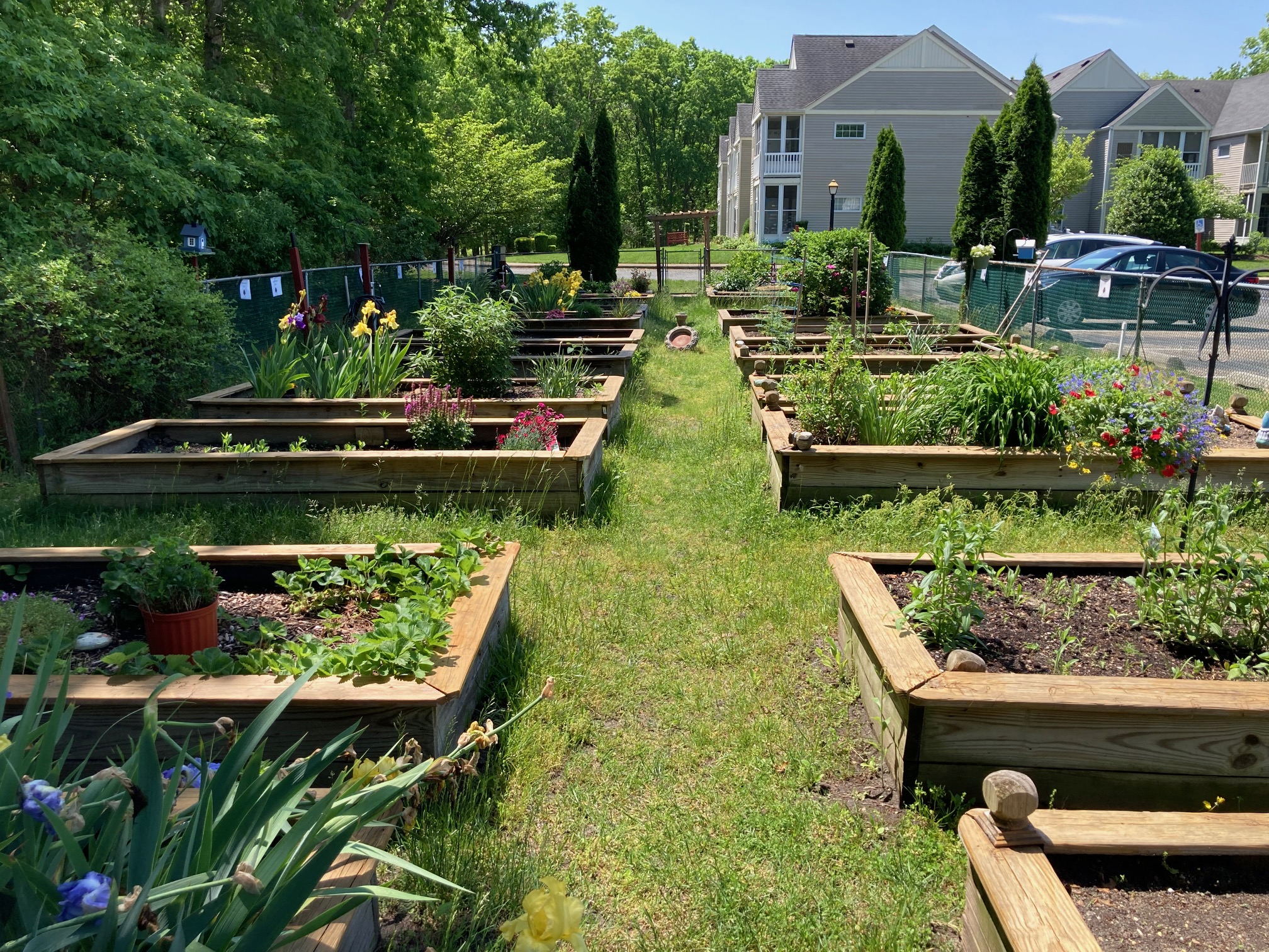 community garden at Harrogate in Ocean County